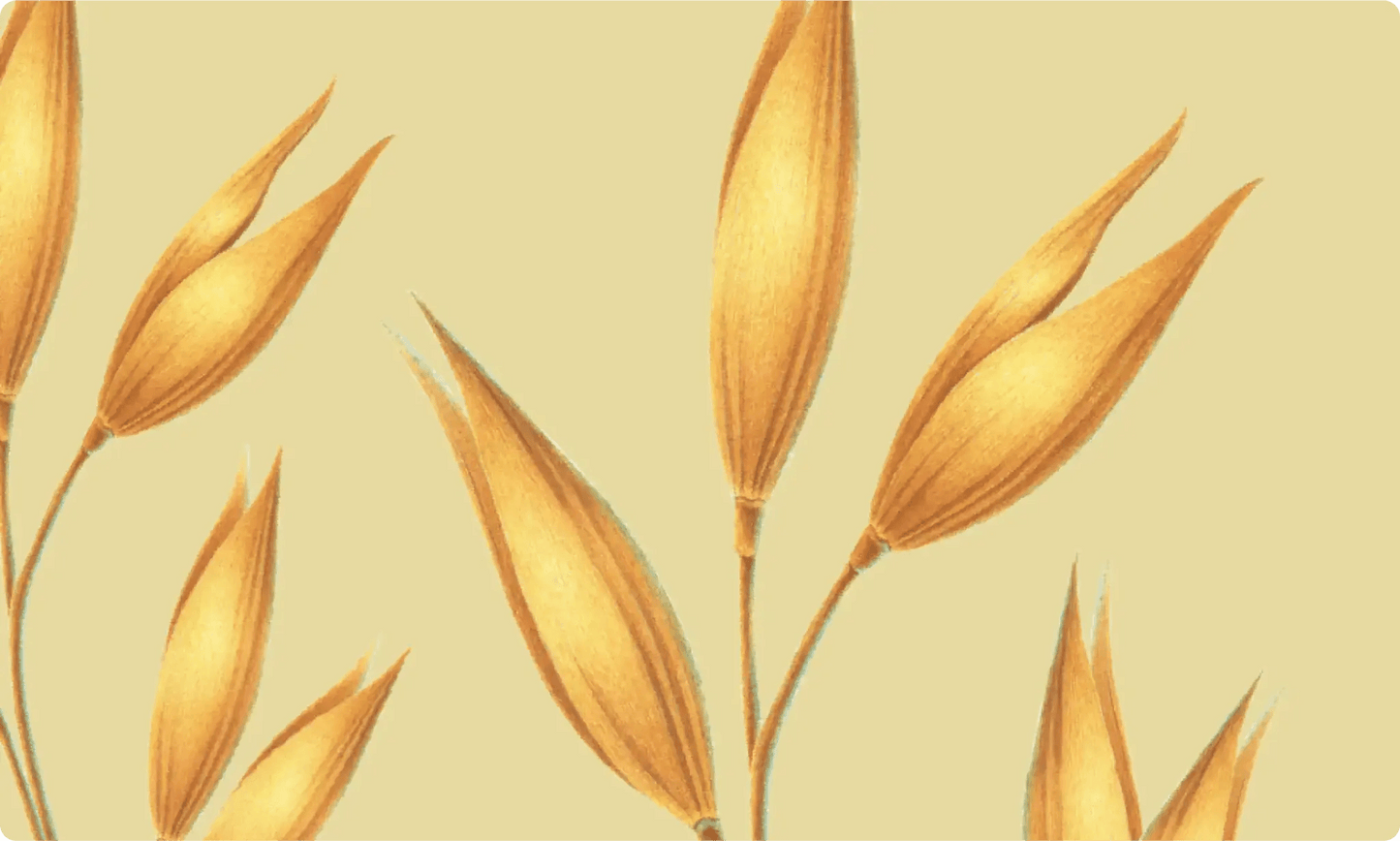 Aveeno Calm + Restore Gel Moisturizer Body Lotion Aveeno-AveenoCalmRestoreGelMoisturizer-AveenoAveenoCalmRestoreGelMoisturizerEXprimiSkincareKenya-BodyLotion-EXprimiSkincareKenya-3813720234546 shop at Exprimi Beauty Kenya. Home of Skin care, Body care, Make-up, Fragrance & Beauty.