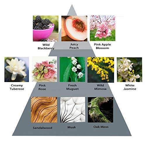 Perry Ellis 360° Purple Body Mist 236 ml Fine Fragrance Lotion Perry-Ellis-360-Purple-Body-Mist-236-ml-EXprimi-Skincare-Kenya-4016 shop at Exprimi Beauty Kenya. Home of Skin care, Body care, Make-up, Fragrance & Beauty.