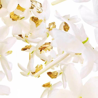 Mugler Goddess Eau de Parfum - Perfume for Women - MUGLER | EXprimi Skincare Kenya Perfume Mugler-AlienGoddessEaudeParfum-PerfumeforWomen-MUGLER-AlienGoddessEaudeParfum-MUGLER-ExprimBeautyKenya-Perfume-EXprimiSkincareKenya-5 shop at Exprimi Beauty Kenya. Home of Skin care, Body care, Make-up, Fragrance & Beauty.