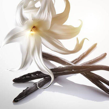 Mugler Goddess Eau de Parfum - Perfume for Women - MUGLER | EXprimi Skincare Kenya Perfume Mugler-AlienGoddessEaudeParfum-PerfumeforWomen-MUGLER-AlienGoddessEaudeParfum-MUGLER-ExprimBeautyKenya-Perfume-EXprimiSkincareKenya-7 shop at Exprimi Beauty Kenya. Home of Skin care, Body care, Make-up, Fragrance & Beauty.