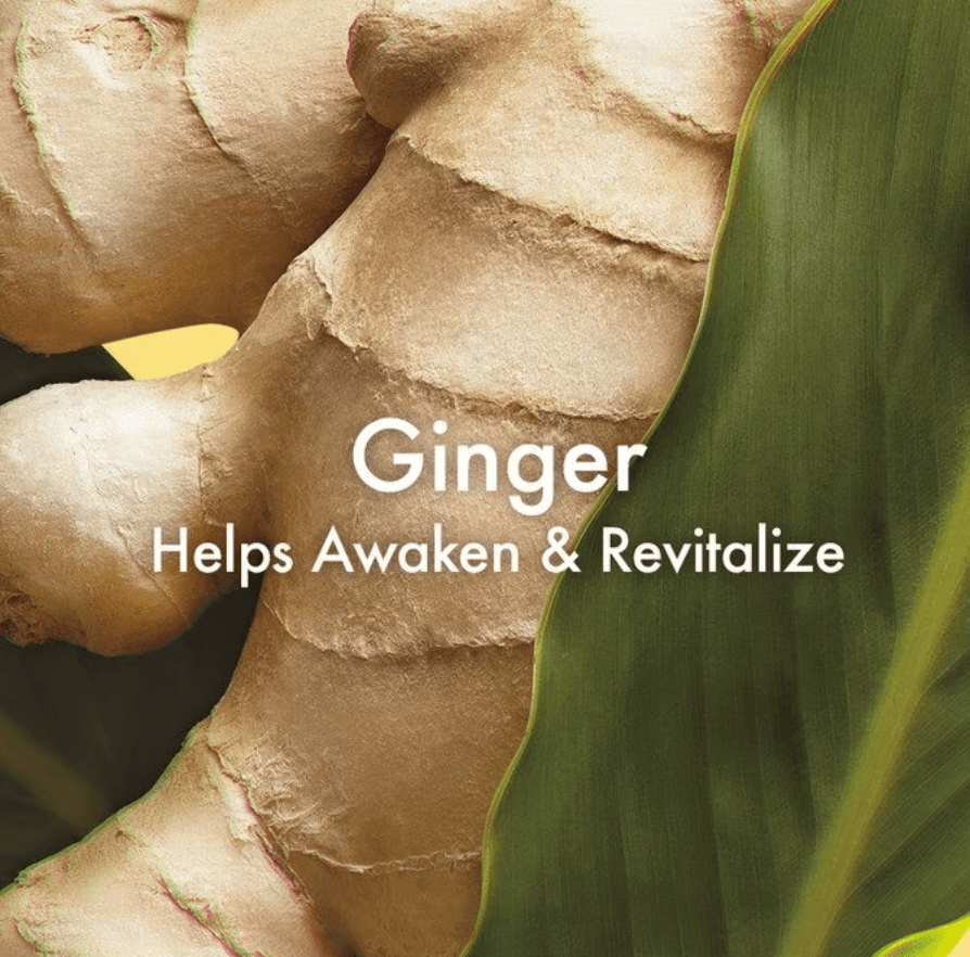 Origins™ Smoothing Ginger Body Scrub Body Scrub Origins_Smoothing_Ginger_Body_Scrub_EXprimi_Skincare_Kenya._Helps_Awaken_Revitaliza shop at Exprimi Beauty Kenya. Home of Skin care, Body care, Make-up, Fragrance & Beauty.